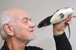 Older man gently holding and looking at a black and white duck.