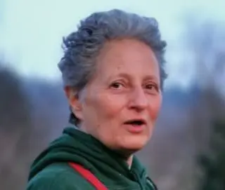 Person outdoors with short gray hair, green hoodie