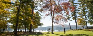 Park with trees and person by lake.