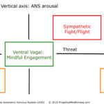 Relational-Mindfulness-ANS