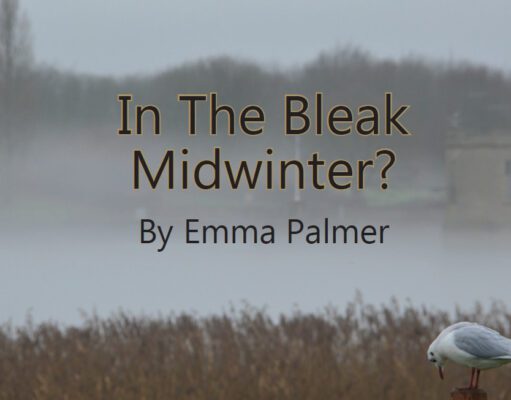 In the Bleak Mid Winter Book cover titled 'In The Bleak Midwinter?' by Emma Palmer with a foggy winter landscape.